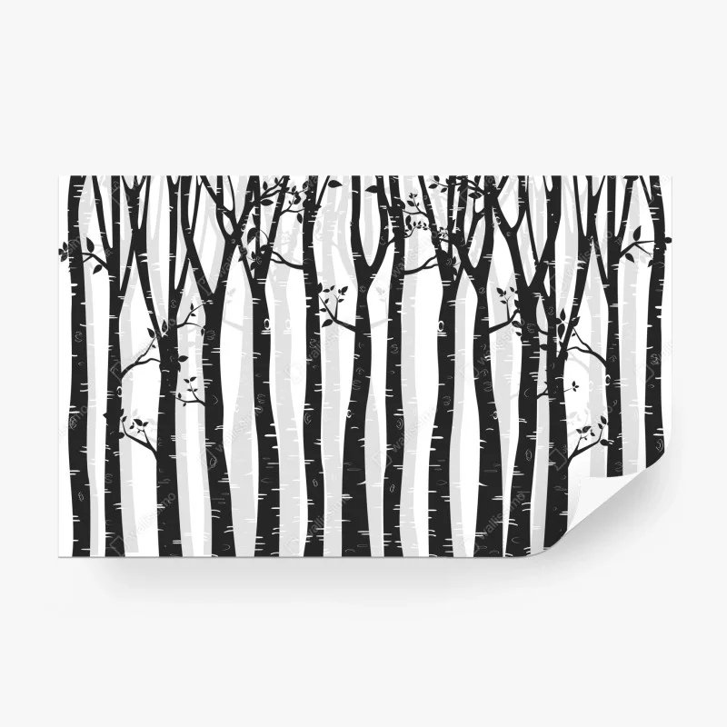 Wall mural monochrome birch forest illustration