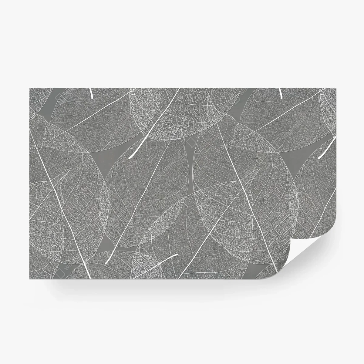 Wall mural delicate leaf vein pattern in gray ⁕ Wallissimo® Wall mural delicate leaf vein pattern in gray ⁕ Wallissimo®