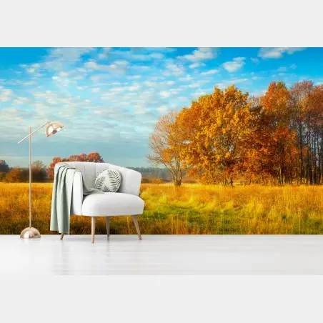 Wall mural golden autumn meadow • Wallissimo®