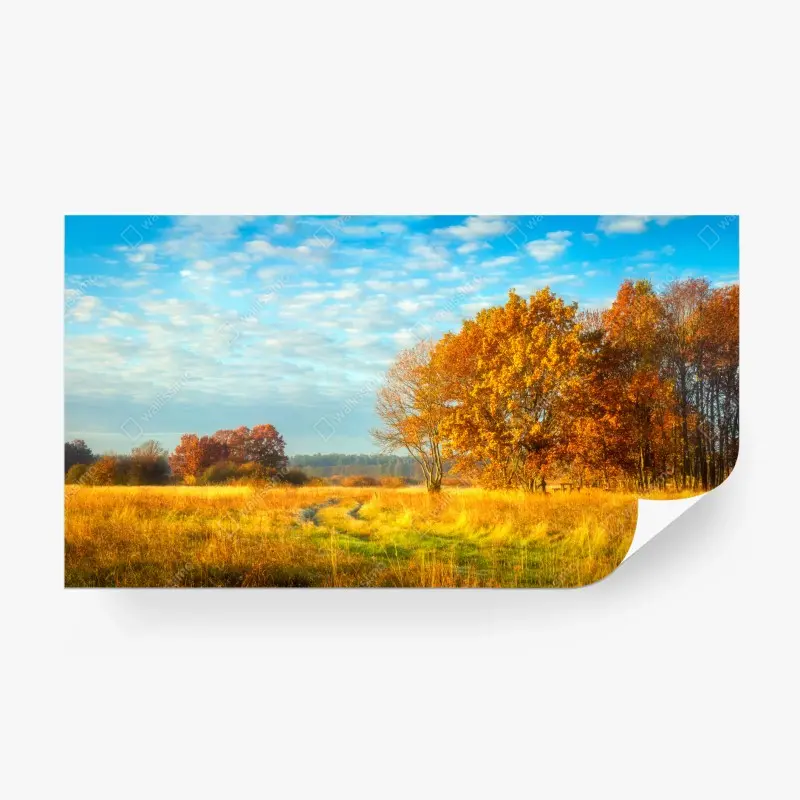 Wall mural golden autumn meadow ⁕ Wallissimo®