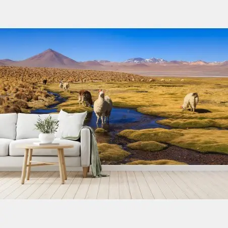 Wall mural llama on the Andes altiplano • Wallissimo®