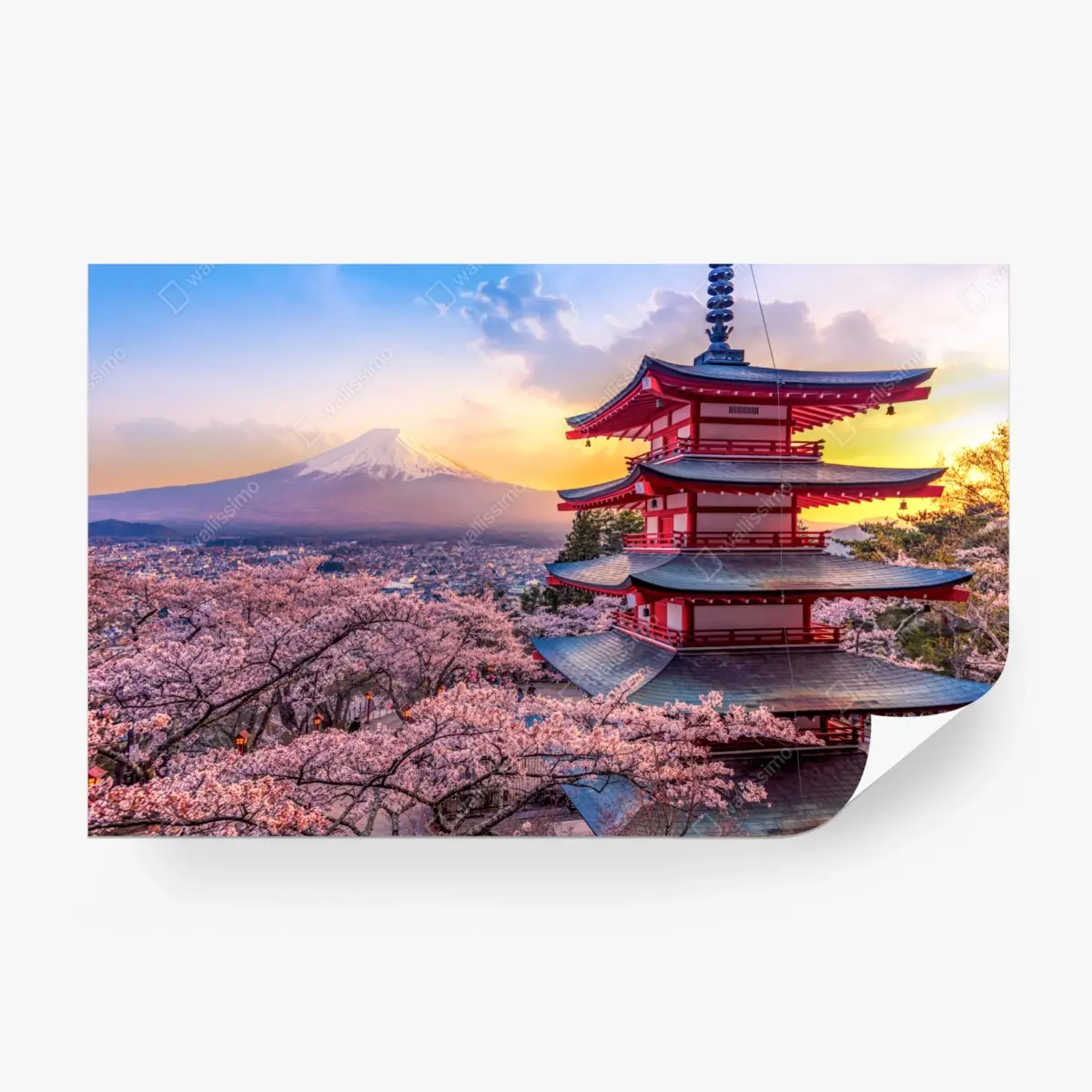 Wall mural sunset over Mount Fuji and Chureito Pagoda ⁕ Wallissimo®
