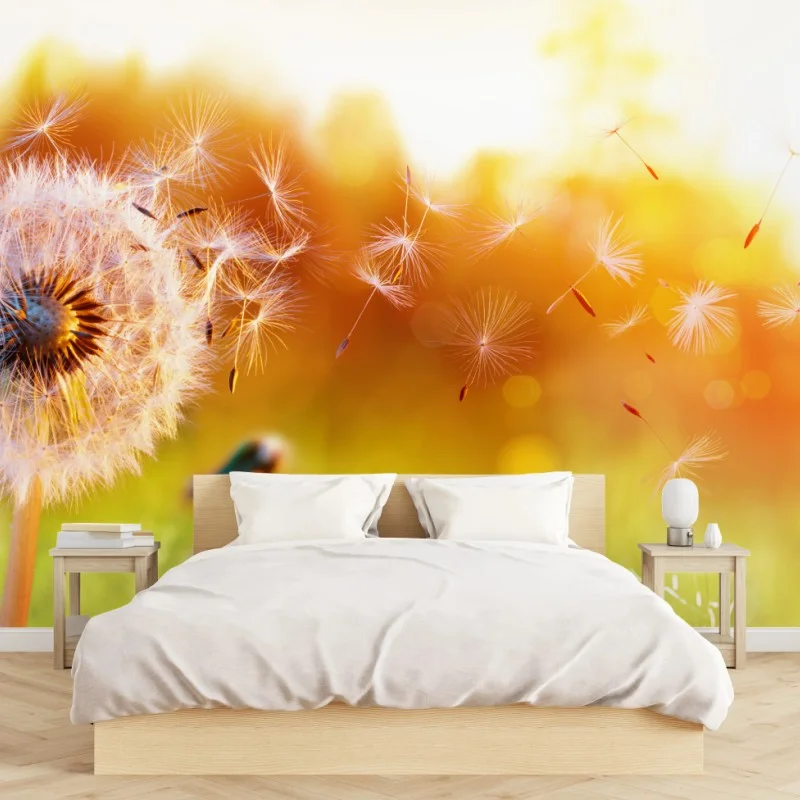 Wall mural golden dandelion seeds at sunset