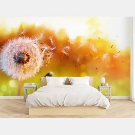 Wall mural golden dandelion seeds at sunset • Wallissimo®