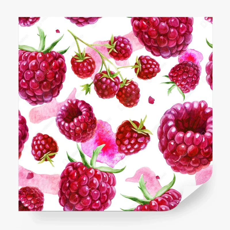 Wall mural watercolor raspberry pattern