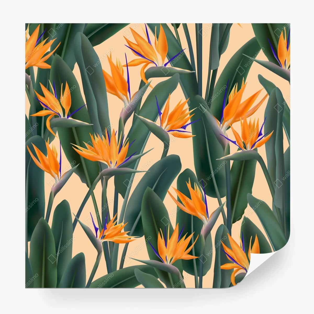 Wall mural tropical bird of paradise floral pattern ⁕ Wallissimo®