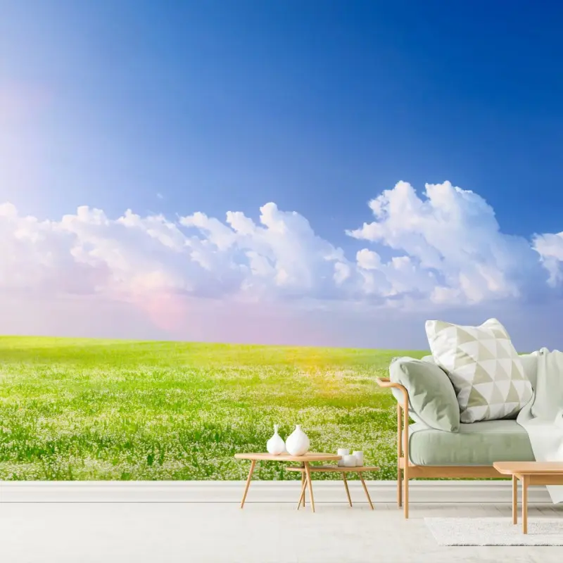 Wall mural sunny spring meadow with blue sky