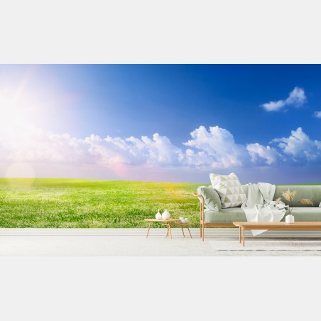 Wall mural sunny spring meadow with blue sky • Wallissimo®