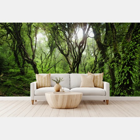 Wall mural mystic green forest canopy • Wallissimo®