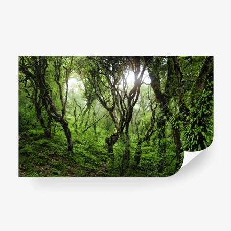 Wall mural mystic green forest canopy • Wallissimo®