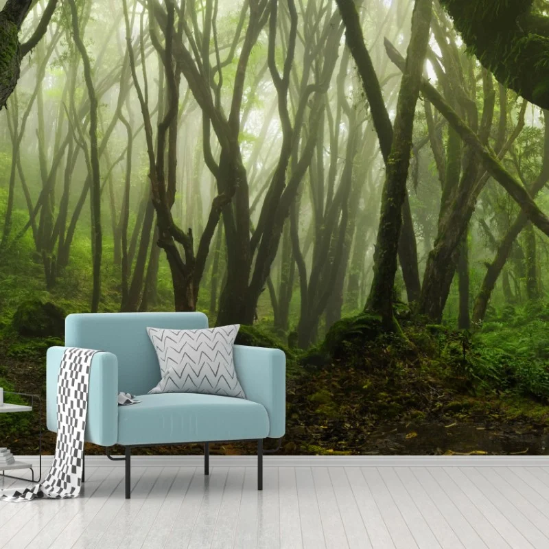 Wall mural misty green forest path