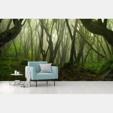 Wall mural misty green forest path • Wallissimo®