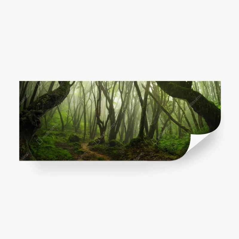 Wall mural • Wallissimo®