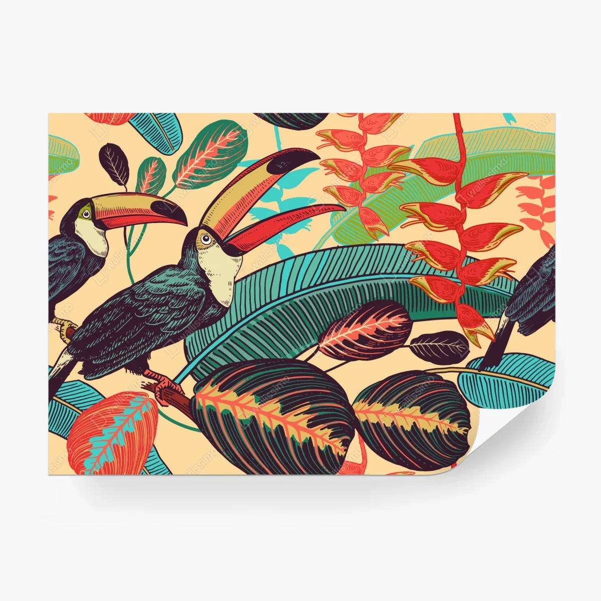 Wall mural tropical toucan paradise ⁕ Wallissimo® Wall mural tropical toucan paradise ⁕ Wallissimo®