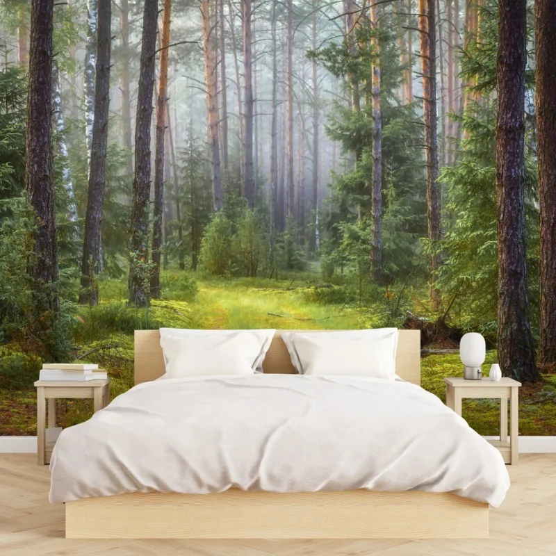 Wall mural misty pine forest trail