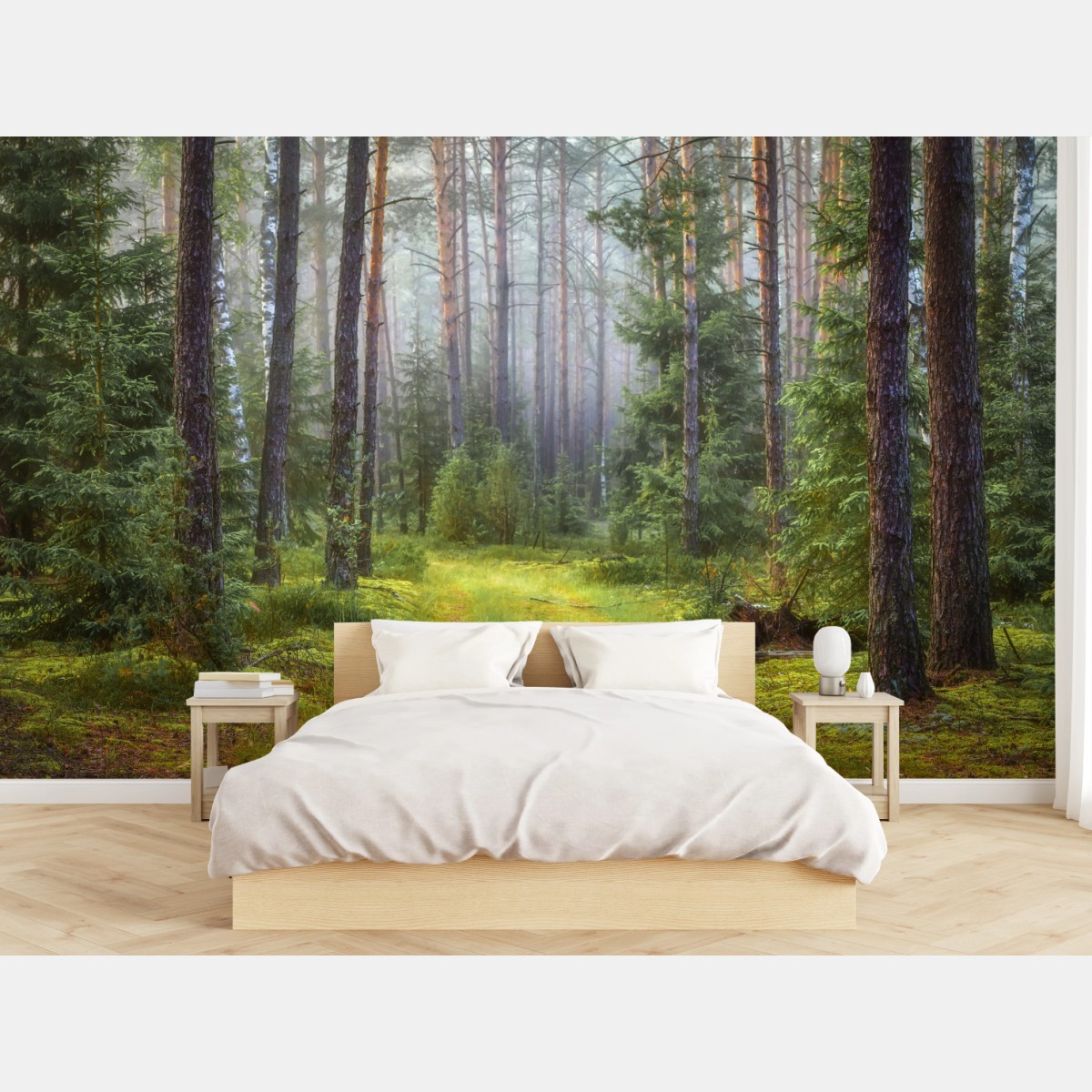 Wall mural misty pine forest trail • Wallissimo®