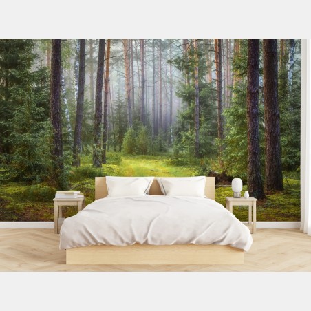 Wall mural misty pine forest trail • Wallissimo®