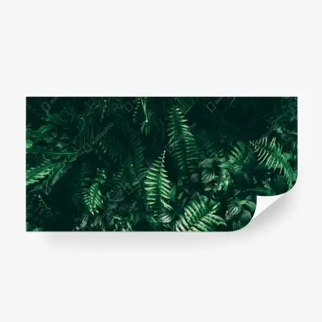 Wall mural tropical green leaves composition • Wallissimo®
