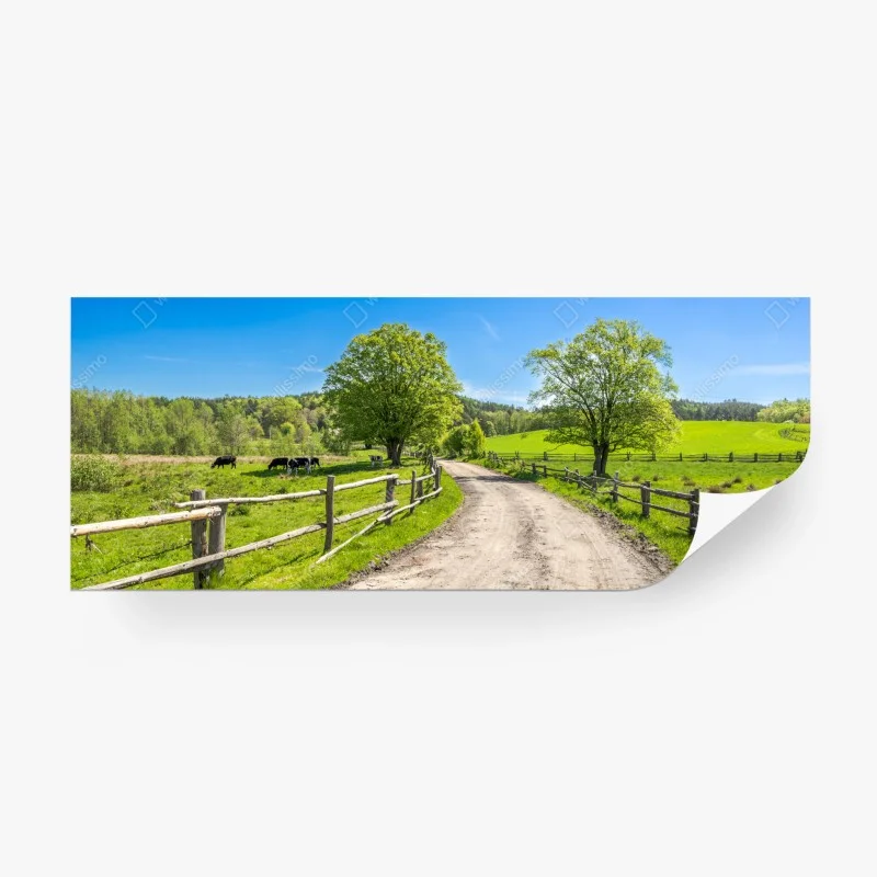 Wall mural sunny country road through green meadows