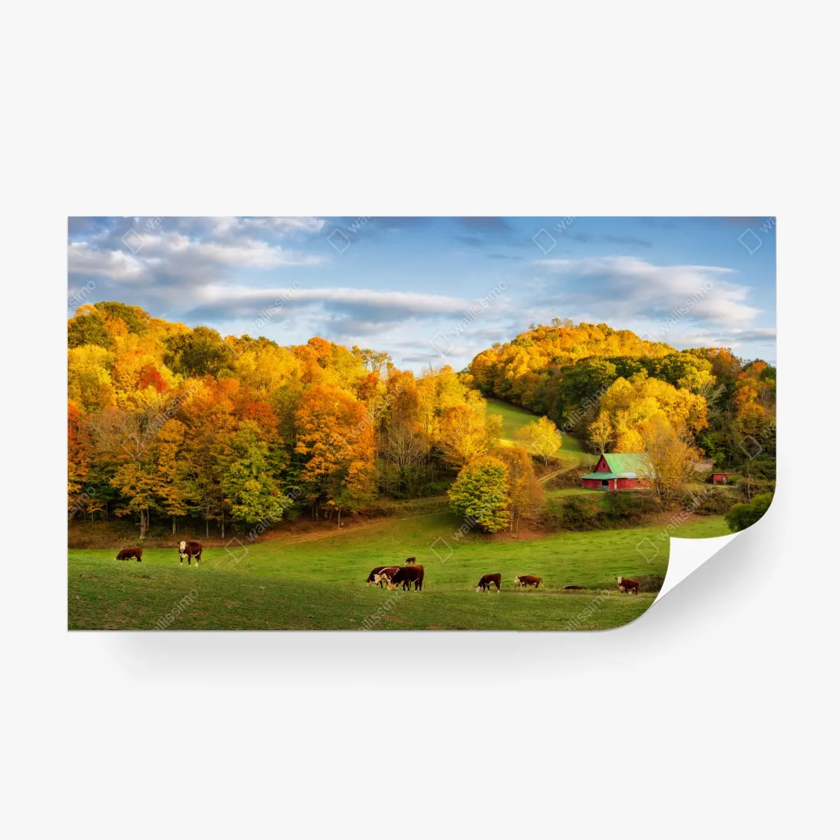 Wall mural autumn countryside landscape with red barn ⁕ Wallissimo® Wall mural autumn countryside landscape with red barn ⁕ Wallissimo®