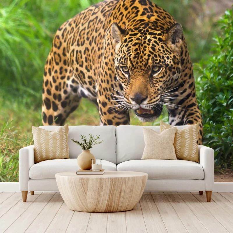 Wall mural majestic jaguar in the wild