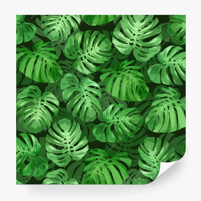 Wall mural tropical monstera leaf pattern