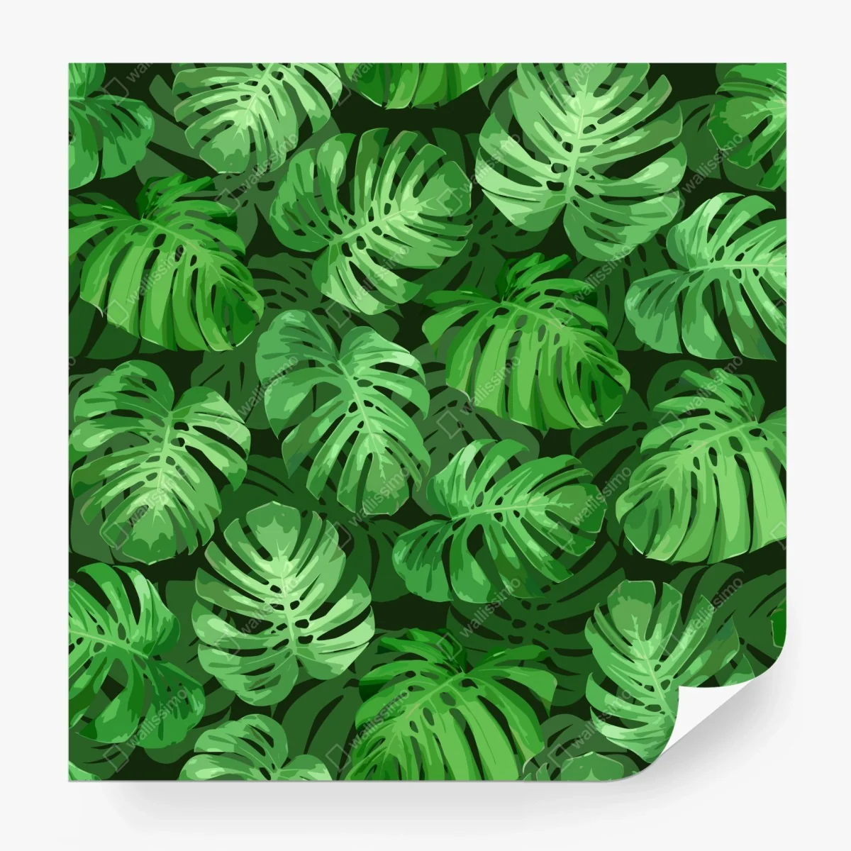 Wall mural tropical monstera leaf pattern • Wallissimo®