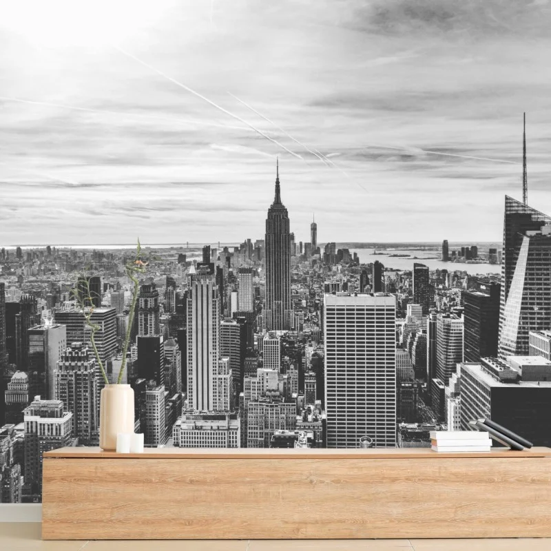 Wall mural New York skyline in grayscale