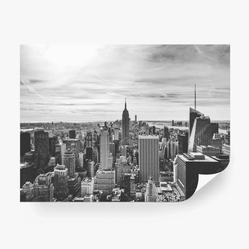 Wall mural New York skyline in grayscale