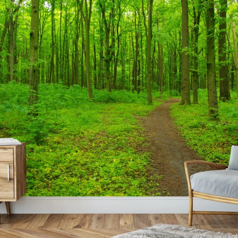 Wall mural serene green forest trail