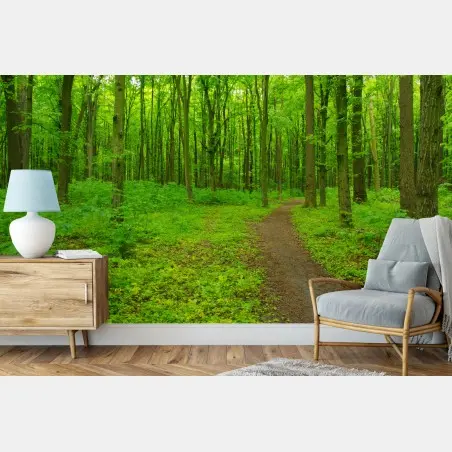 Wall mural serene green forest trail • Wallissimo®