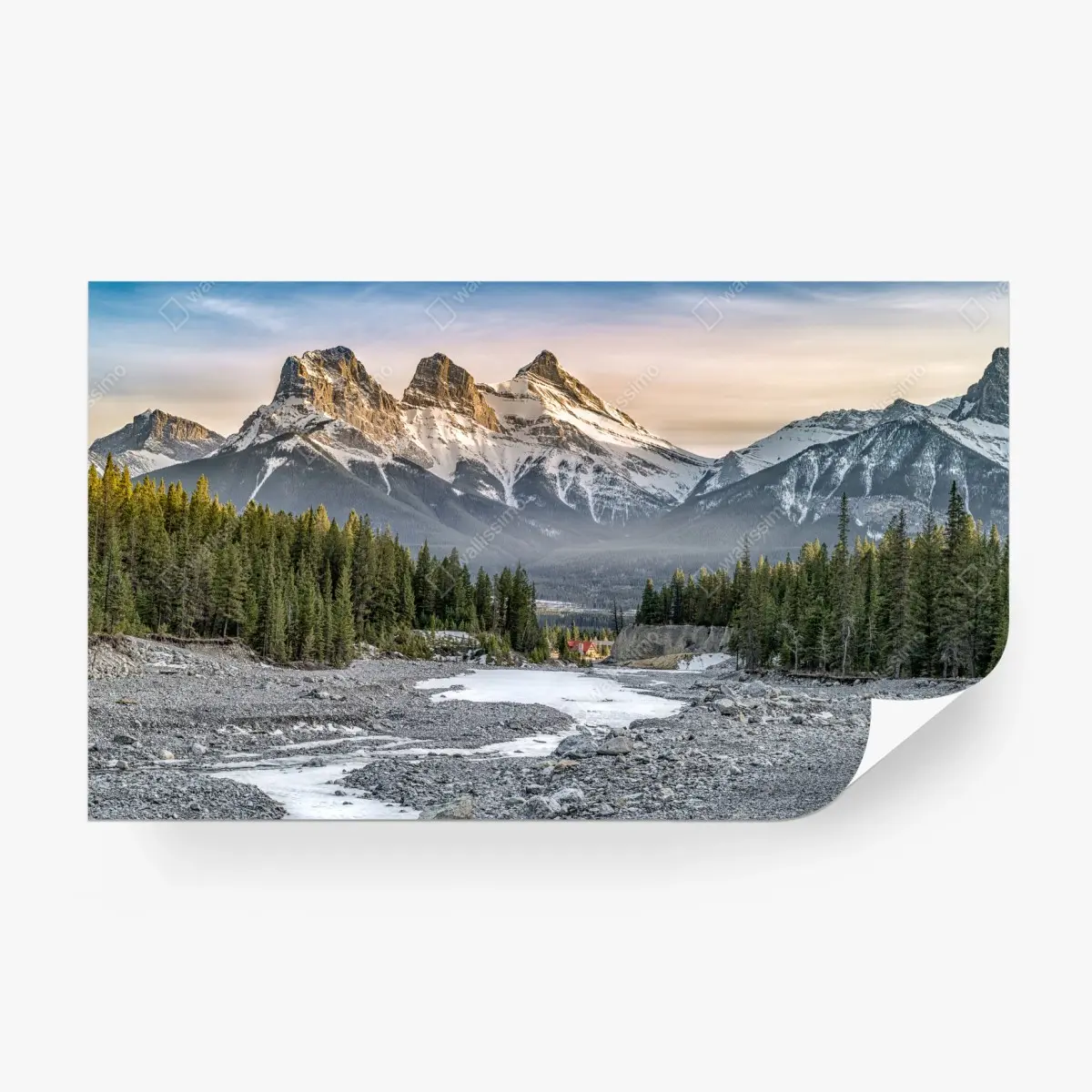 Wall mural majestic mountain peaks and pine forest • Wallissimo®