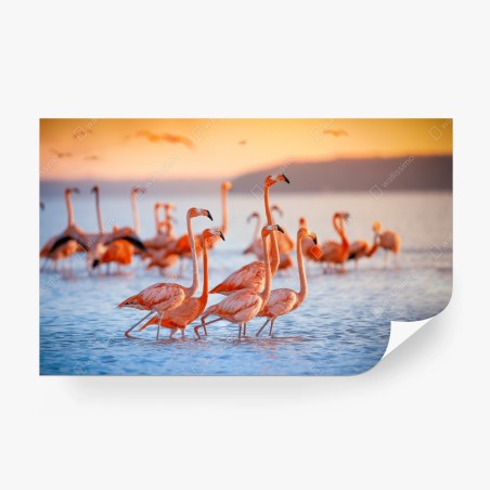 Wall mural pink flamingos at sunset • Wallissimo®
