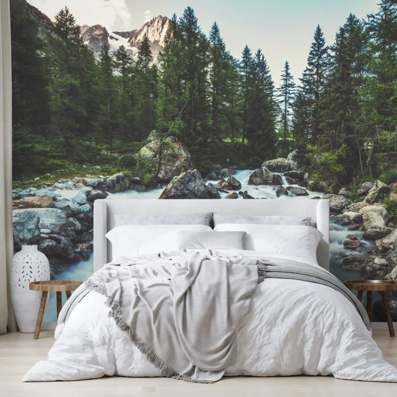 Wall mural scenic alpine river in Ferret Valley