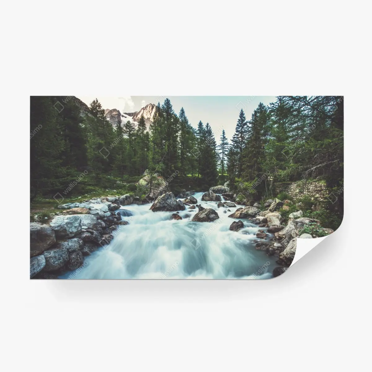 Wall mural scenic alpine river in Ferret Valley • Wallissimo®