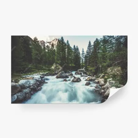 Wall mural scenic alpine river in Ferret Valley • Wallissimo®
