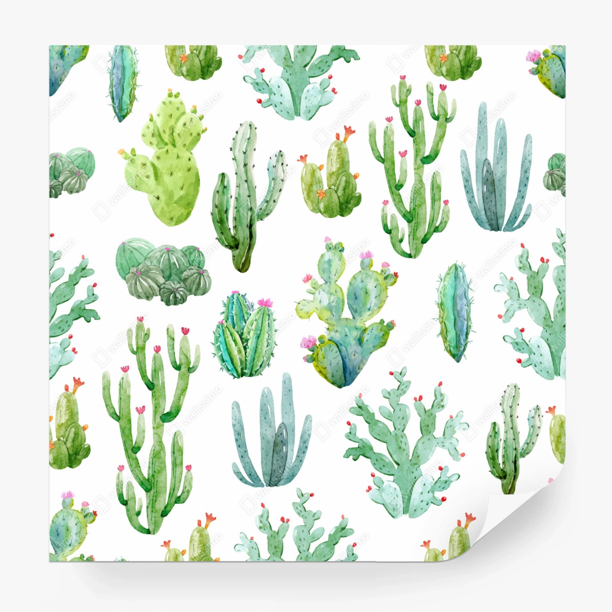 Wall mural watercolor cactus garden pattern • Wallissimo®