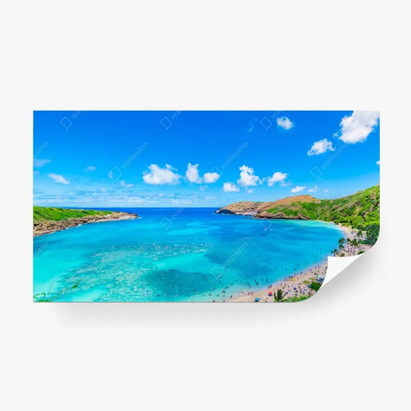 Wall mural • Wallissimo®