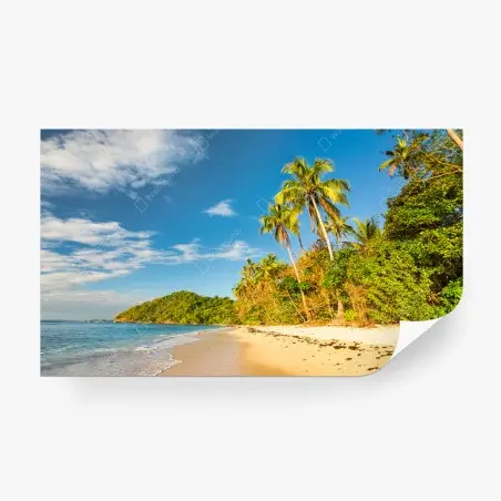 Wall mural golden tropical beach at sunset • Wallissimo®