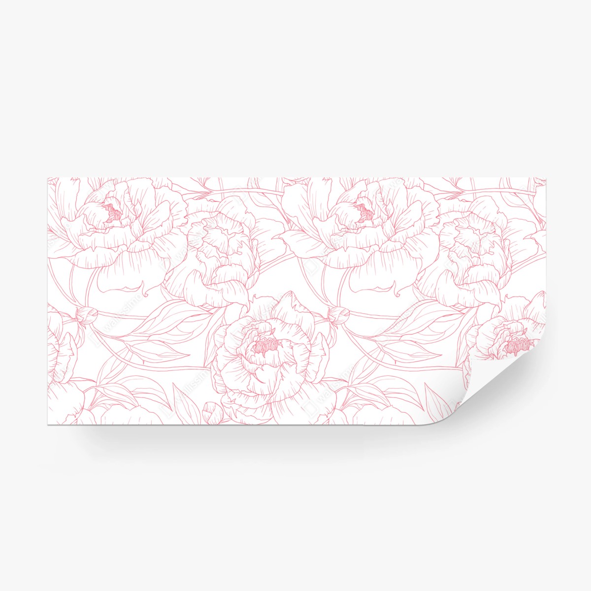 Wall mural delicate pink peony line art pattern • Wallissimo®