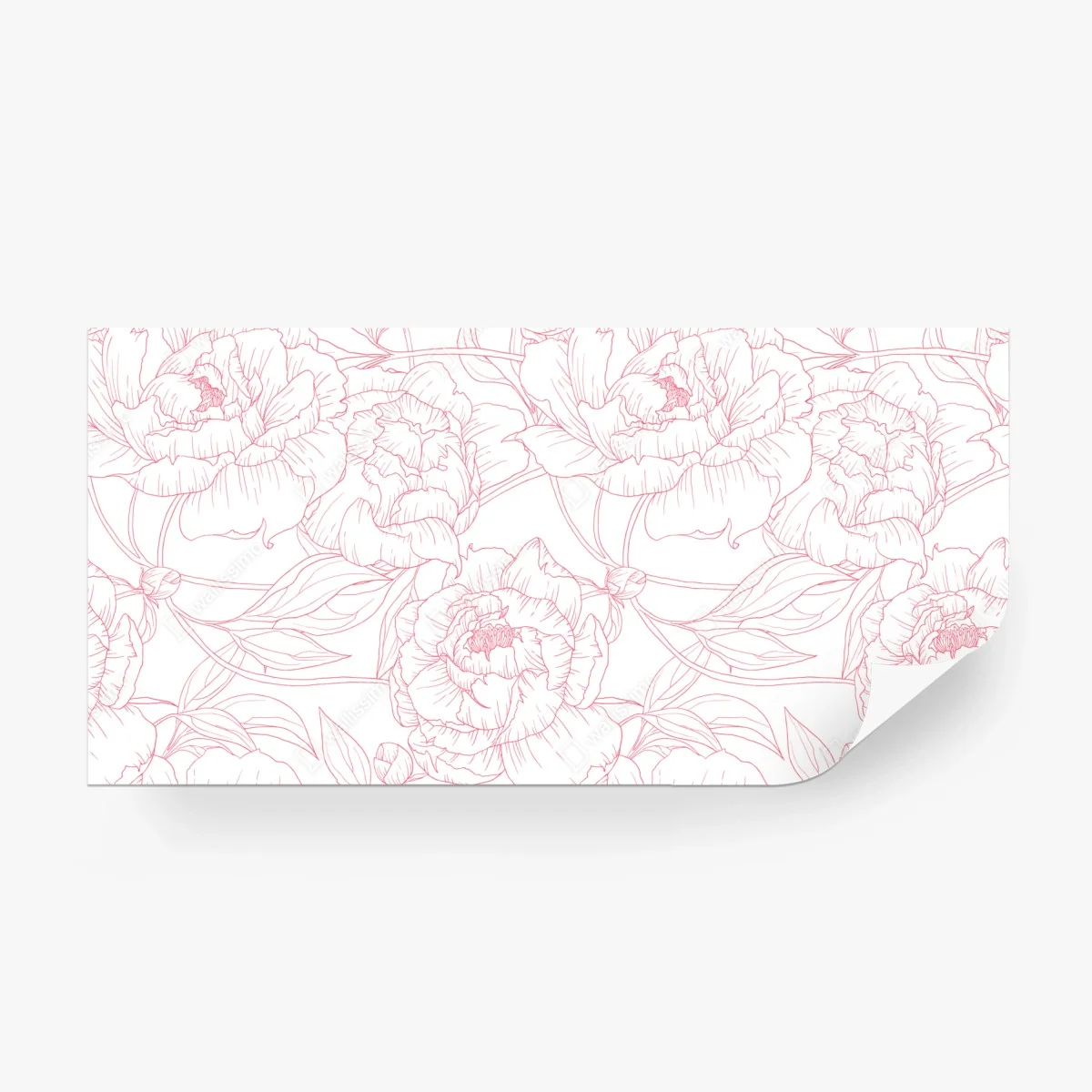 Wall mural delicate pink peony line art pattern • Wallissimo®