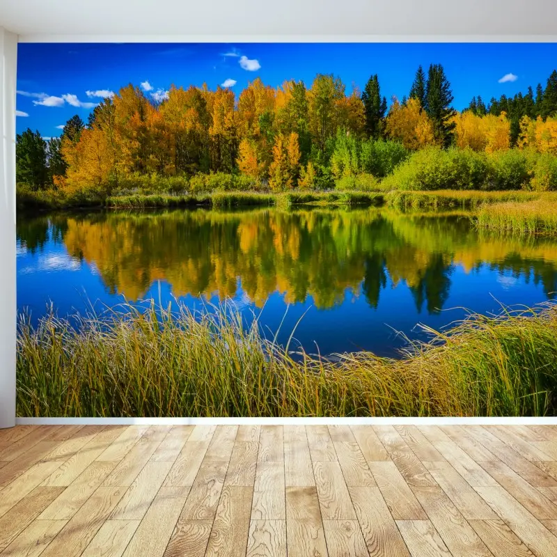 Wall mural autumn trees reflected on a glassy lake