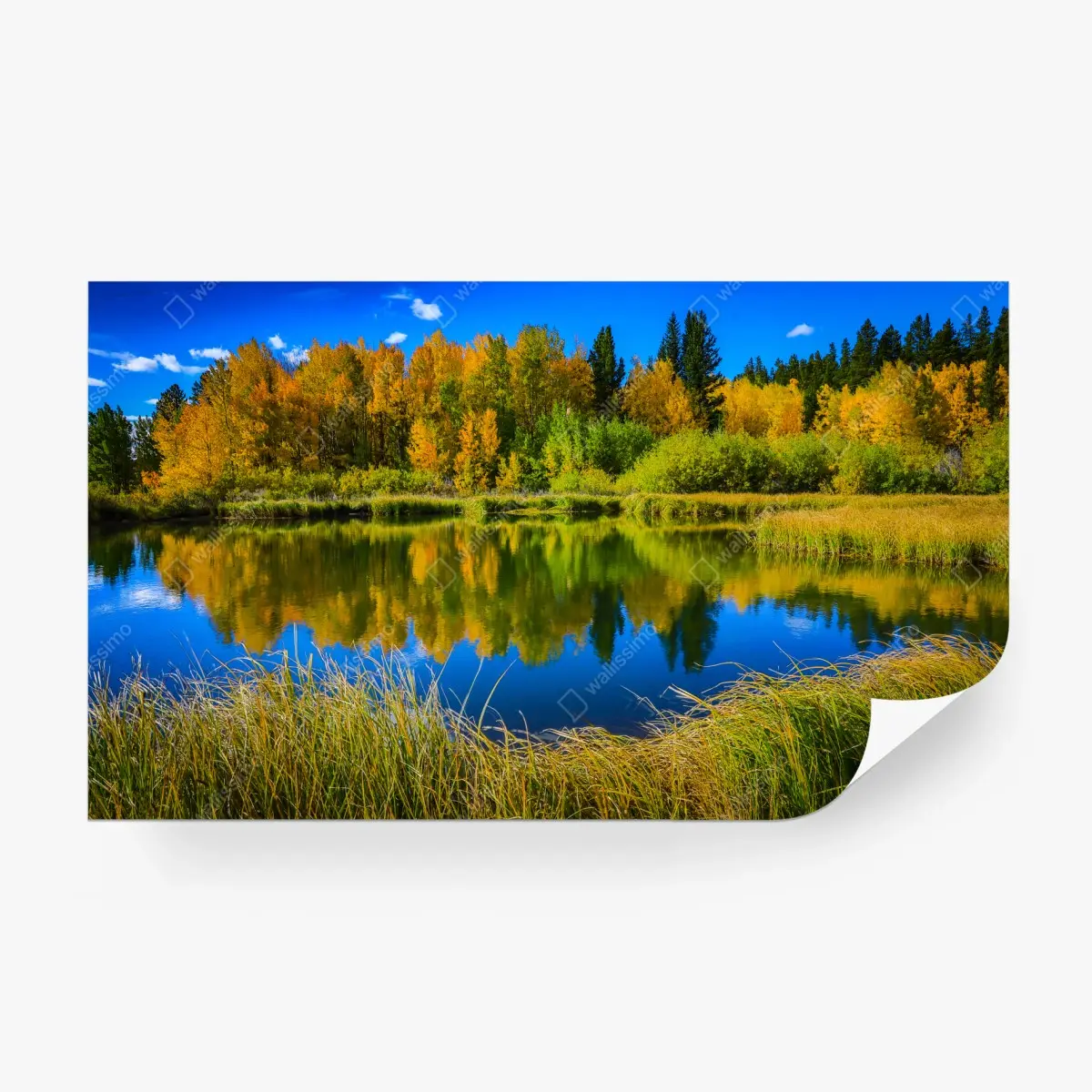 Wall mural autumn trees reflected on a glassy lake • Wallissimo®