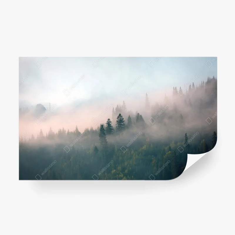 Wall mural misty morning forest landscape