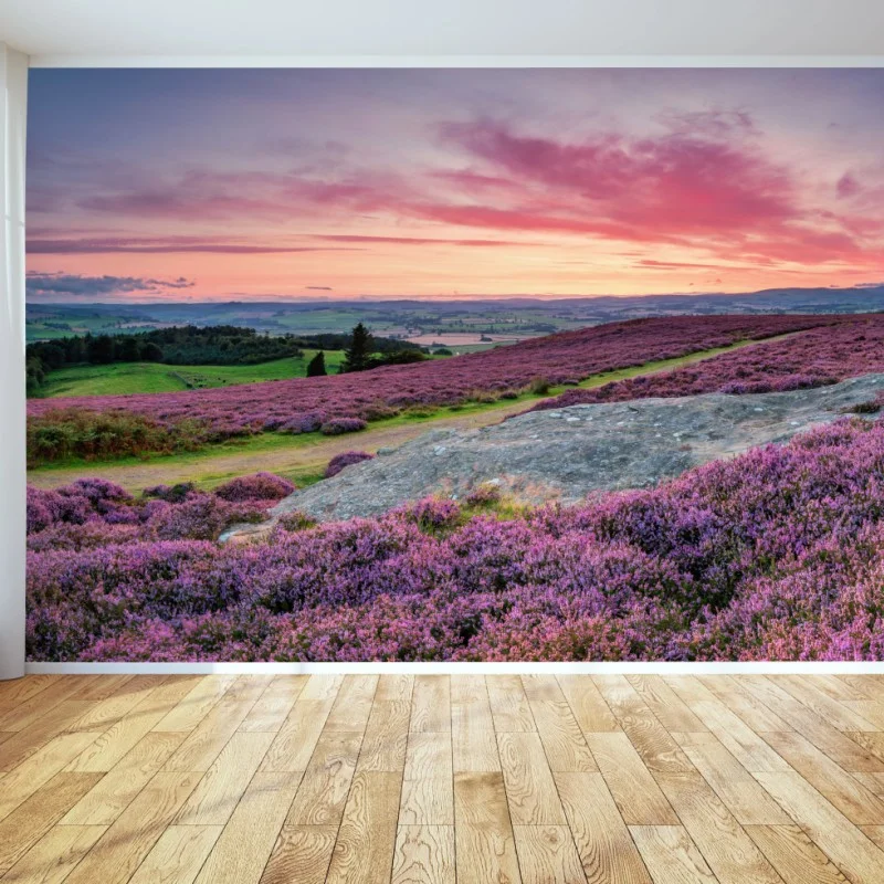 Wall mural purple heather meadows at sunset ⁕ Wallissimo® Wall mural purple heather meadows at sunset ⁕ Wallissimo®