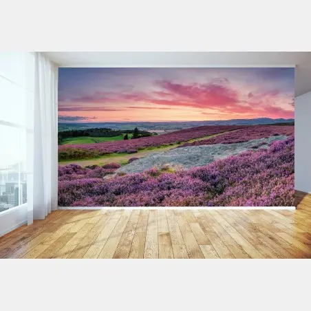 Wall mural purple heather meadows at sunset • Wallissimo®