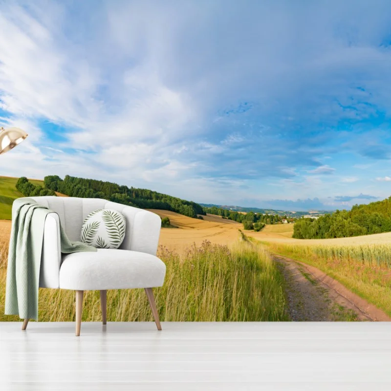 Wall mural morning wheat panorama in Kansas