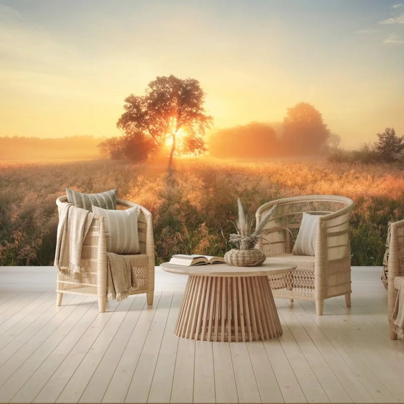 Wall mural golden sunrise over misty meadow