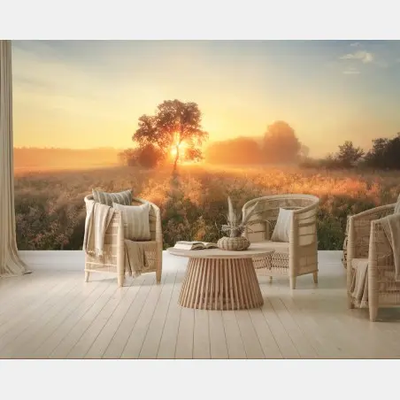 Wall mural golden sunrise over misty meadow • Wallissimo®