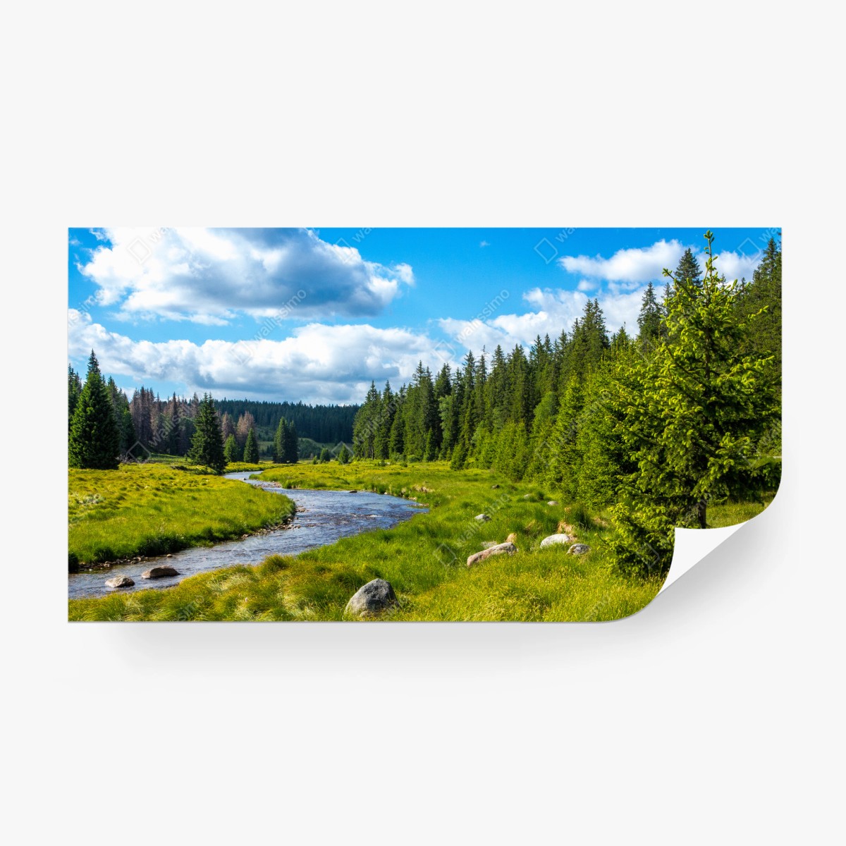 Wall mural serene riverside meadow • Wallissimo®
